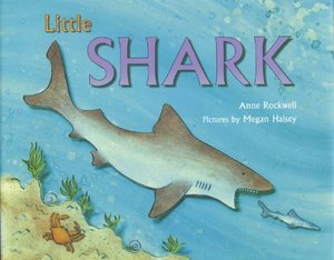 Little Shark