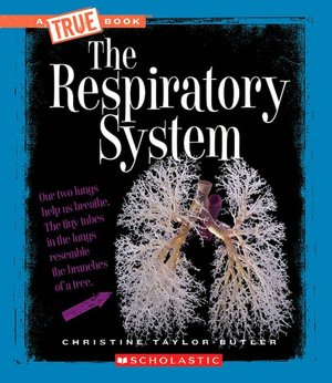 Respiratory System