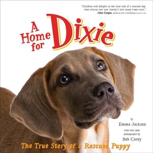 Home for Dixie: The True Story of a Rescued Puppy