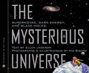 Mysterious Universe: Supernovae, Dark Energy, and Black Holes
