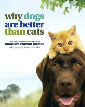Why Dogs Are Better Than Cats
