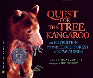 Quest for the Tree Kangaroo: An Expedition to the Cloud Forest of New Guinea