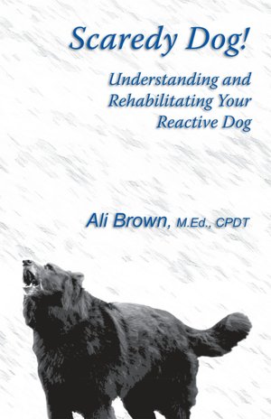 Scaredy Dog!: Understanding and Rehabilitating Your Reactive Dog
