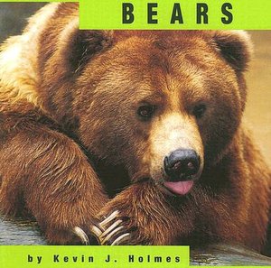 Bears
