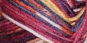 Deborah Norville Collection Everyday Print Yarn-Carnivale