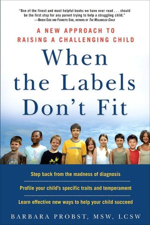 When the Labels Don't Fit: A New Approach to Raising a Challenging Child
