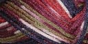 Deborah Norville Collection Everyday Print Yarn-Vineyard