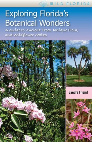 Exploring Florida's Botanical Wonders: A Guide to Ancient Trees, Unique Flora, and Wildflower Walks