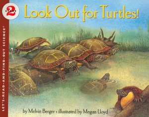 Look Out for Turtles!