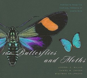100 Butterflies and Moths: Portraits from the Tropical Forests of Costa Rica