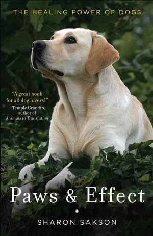 Paws and Effect: The Healing Power of Dogs