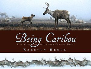 Being Caribou: Five Months on Foot with a Wild Caribou Herd