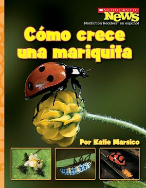 Como crece una mariquita: A Ladybug Larva Grows Up