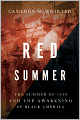 Red Summer: The Summer of 1919 and the Awakening of Black America