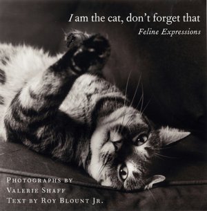 I Am the Cat, Don't Forget That: Feline Expressions