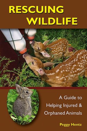 Rescuing Wildlife: A Guide to Helping Injured and Orphaned Animals