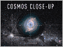 Cosmos Close-Up