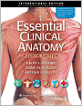 Essential Clinical Anatomy