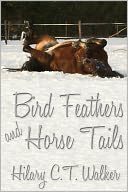 Bird Feathers and Horse Tails
