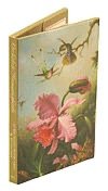 Boxed Card set Orchids