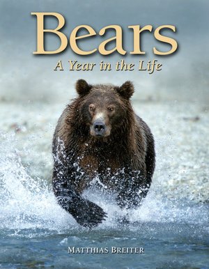 Bears: A Year in the Life