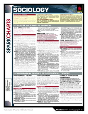 Sociology (SparkCharts)