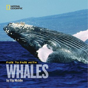 Face to Face with Whales