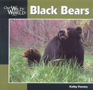 Black Bears
