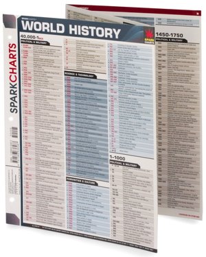 World History (SparkCharts)