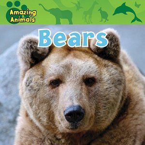 Bears