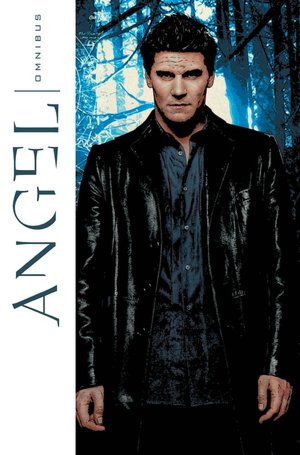 Angel Omnibus, Volume 1