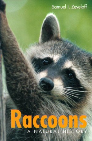 Raccoons: Raccoons