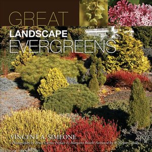 Great Landscape Evergreens