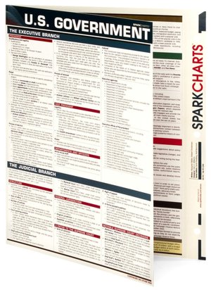 United States Government/Civics (SparkCharts)