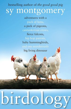 Birdology: Adventures with a Pack of Hens, a Peck of Pigeons, Cantankerous Crows, Fierce Falcons, Hip Hop Parrots, Baby Hummingbirds, and One Murderously Big Living Dinosaur