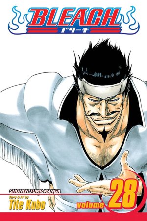 Bleach, Volume 28: Baron's Lecture Full-Course