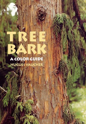 Tree Bark: A Color Guide