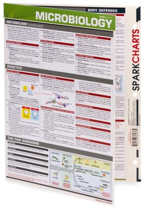 Microbiology (SparkCharts)
