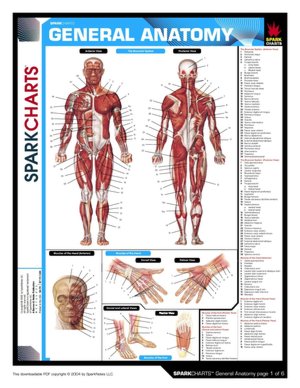 General Anatomy (SparkCharts)