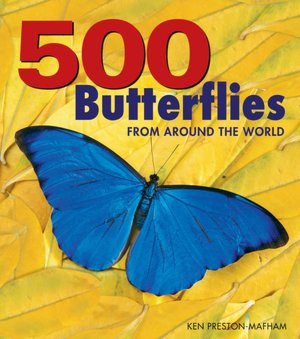 500 Butteflies from Around the World