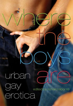 Where the Boys Are: Urban Gay Erotica
