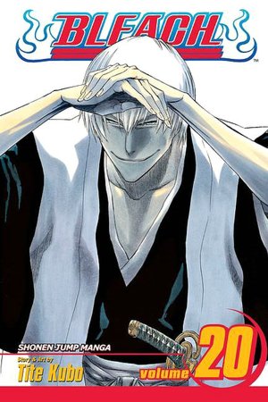Bleach, Volume 20: End of Hypnosis