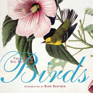 The Little Big Book of Birds