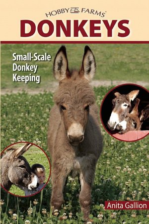 Donkeys