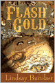 Flash Gold (a steampunk novella set in the Yukon)
