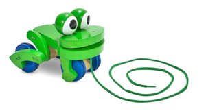 Frolicking Frog Pull Toy