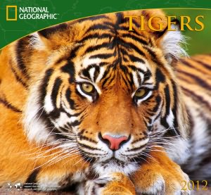 2012 Tigers - National Geographic Wall Calendar