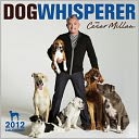 2012 The Dog Whisperer Wall Calendar