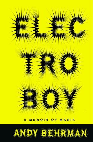 Electroboy: A Memoir Of Mania