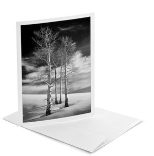 Ode to Winter Christmas Boxed Card